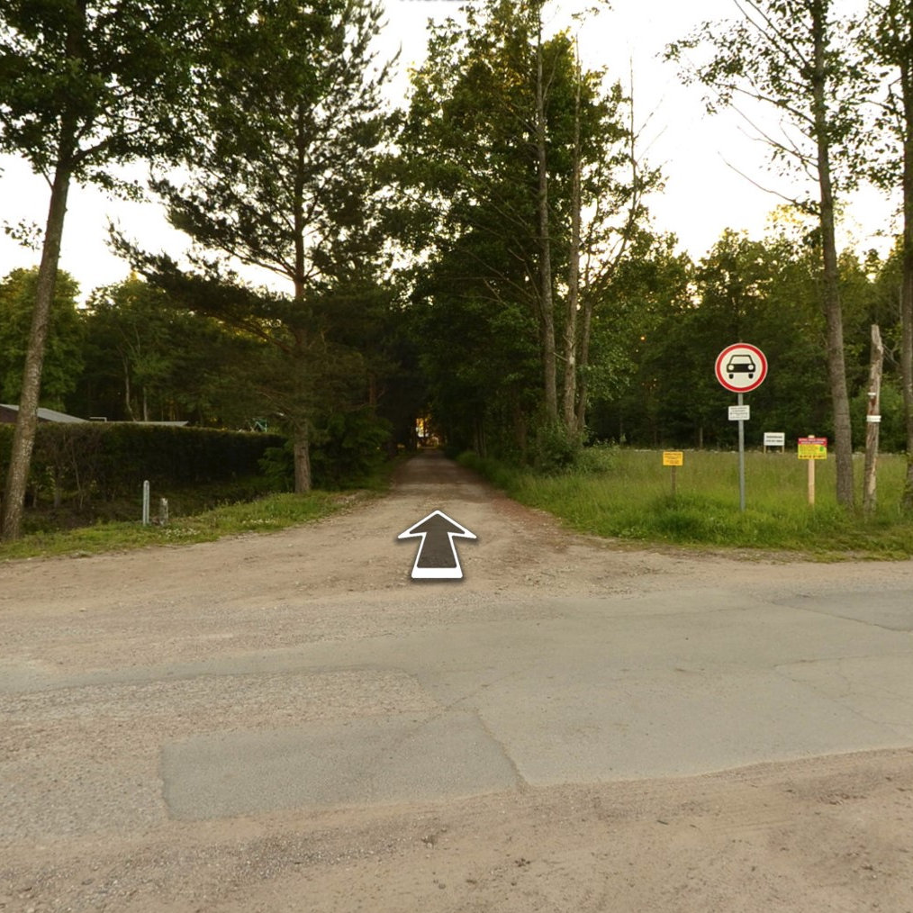 Kunigiškių pušynas prie jūros